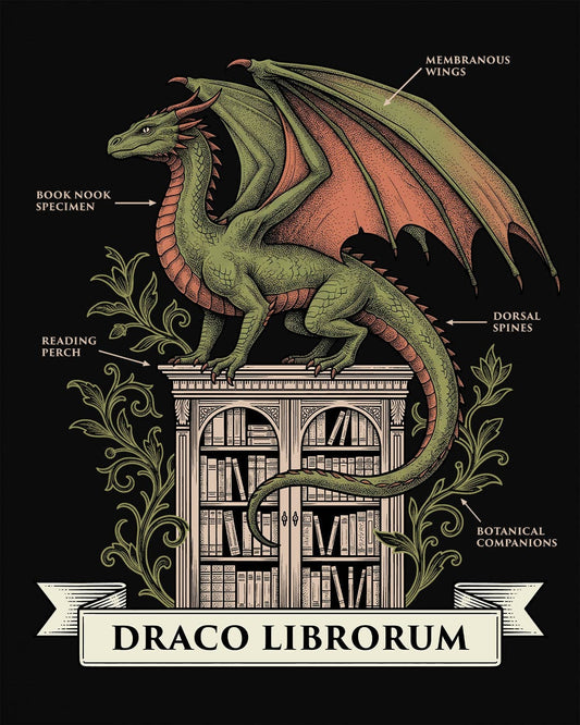 Draco Librorum shirt in black featuring a scholarly dragon perched atop a grand library in vintage naturalist style